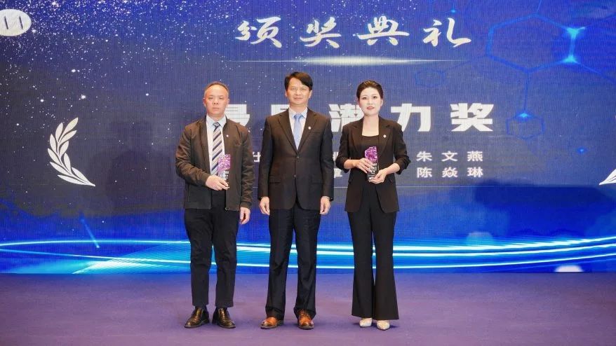万物向新 聚势前行 | 洛亚所2024年年终会议圆满举行 万物向新 聚势前行 | 洛亚所2024年年终会议圆满举行