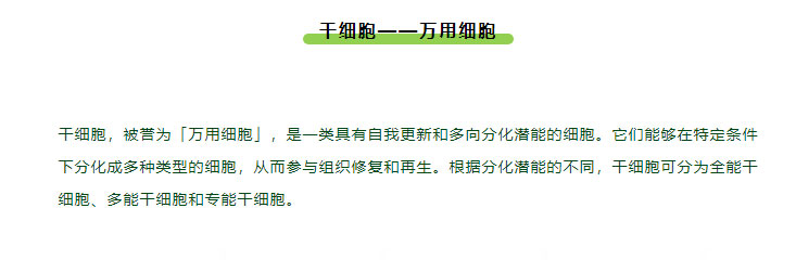 干细胞+免疫细胞丨先清理再修复，实现人体长期健康