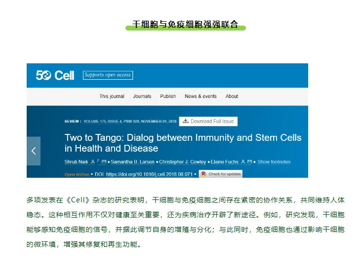 干细胞+免疫细胞丨先清理再修复，实现人体长期健康