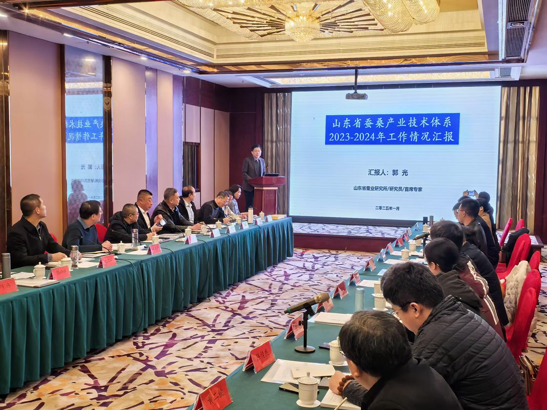 省蚕桑产业技术体系2025年工作推进会在潍坊召开 省蚕桑产业技术体系2025年工作推进会在潍坊召开