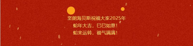 2025-开工大吉！