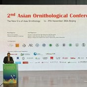 野趣参加第二届亚洲鸟类学大会 The 2nd Asian Ornithological Conference; AOC 2024