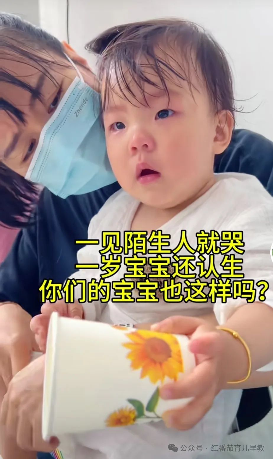 上户第一周，我遇到了极其认生的宝宝（三）