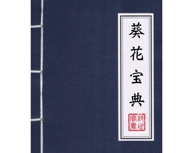 卫事康：这里有一本 “葵花宝典”！