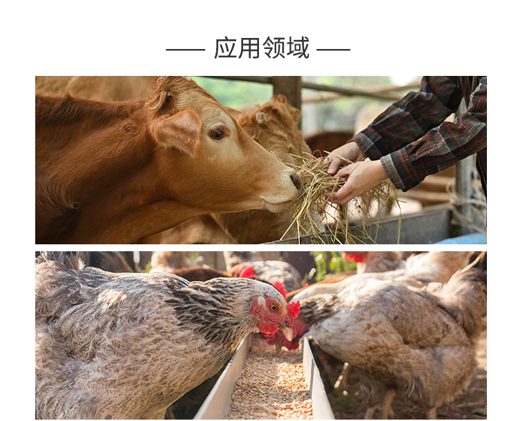 夏盛固体饲料级溶菌酶I型(AFL-I)