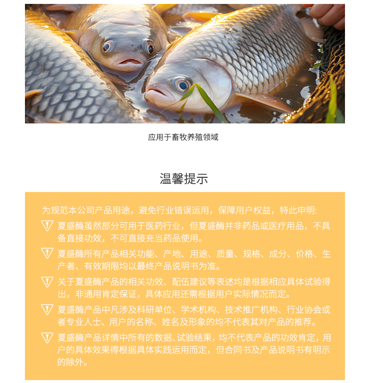 夏盛固体饲料级溶菌酶I型(AFL-I)