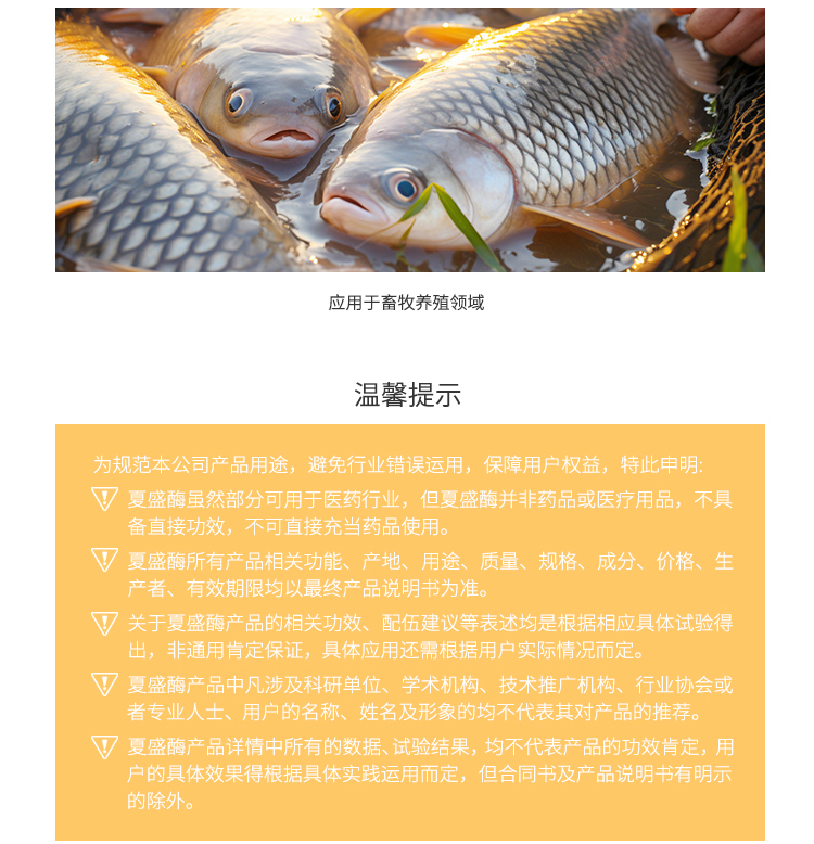 夏盛固体饲料级溶菌酶II型(AFL-II)