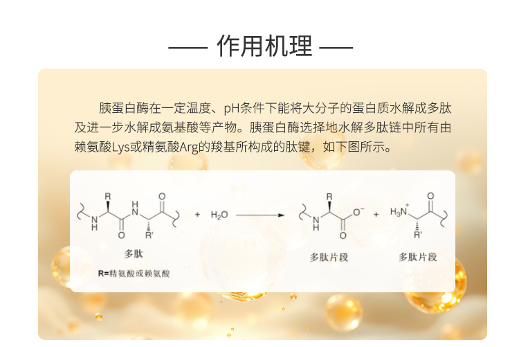 夏盛固体食品级胰蛋白酶2万酶活(动植物蛋白加工)FDG-2280