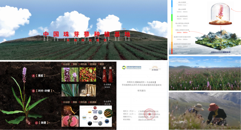 “欢乐过新年，健康产品大派送”——中关村品牌工程产品推介第五期