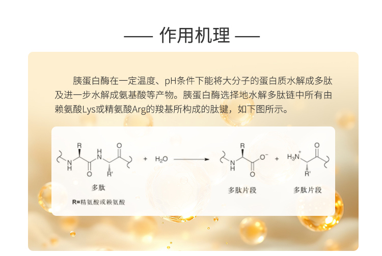 夏盛固体食品级胰蛋白酶20万酶活(动植物蛋白加工)FDG-2281