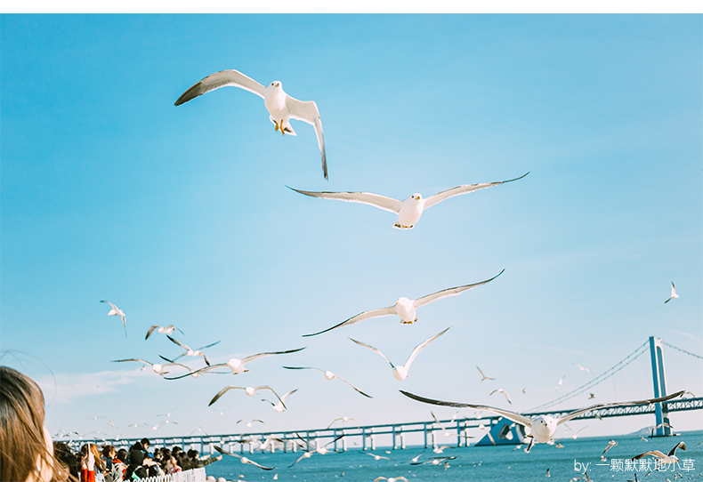 AF 27mm F2.8