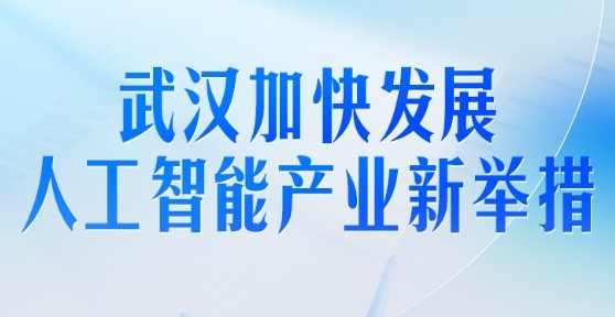 武汉出台“人工智能10条”