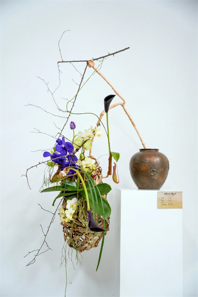 融入王維詩意,百余件清泉般靈動的插花作品亮相成都,備受年輕人青睞 融入王維詩意,百余件清泉般靈動的插花作品亮相成都,備受年輕人青睞