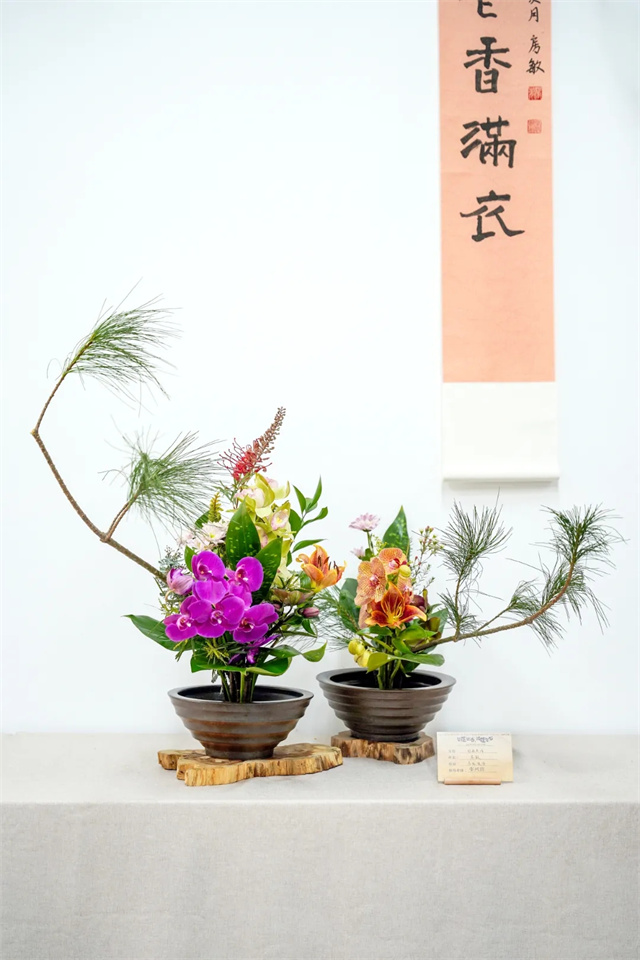 融入王維詩意,百余件清泉般靈動的插花作品亮相成都,備受年輕人青睞 融入王維詩意,百余件清泉般靈動的插花作品亮相成都,備受年輕人青睞
