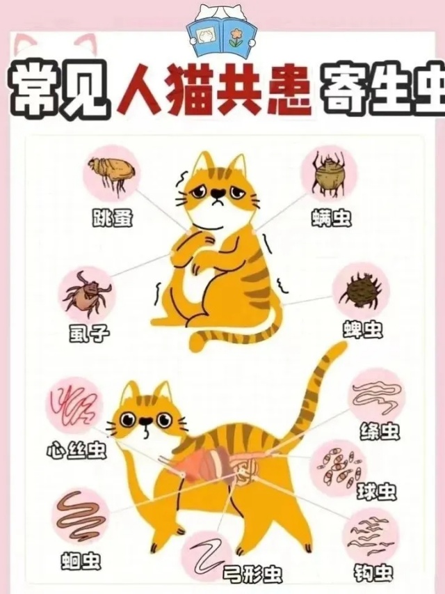 從內(nèi)到外,煥活春日健康美 從內(nèi)到外,煥活春日健康美