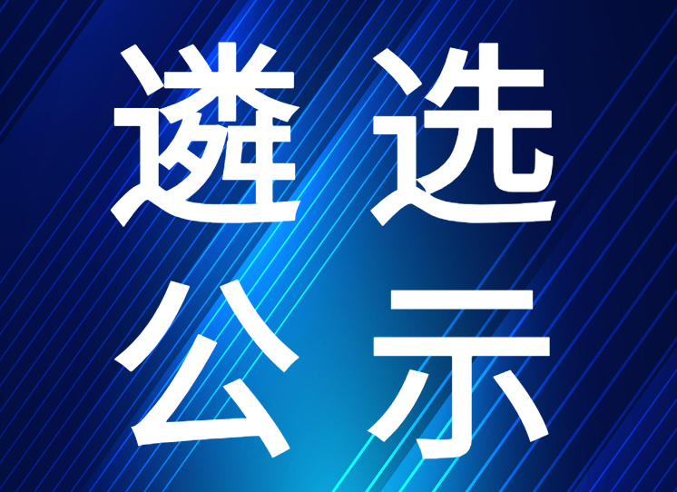 順德區(qū)醫(yī)療健康信息系統(tǒng)一體化建設項目廠商遴選候選人公示公告
