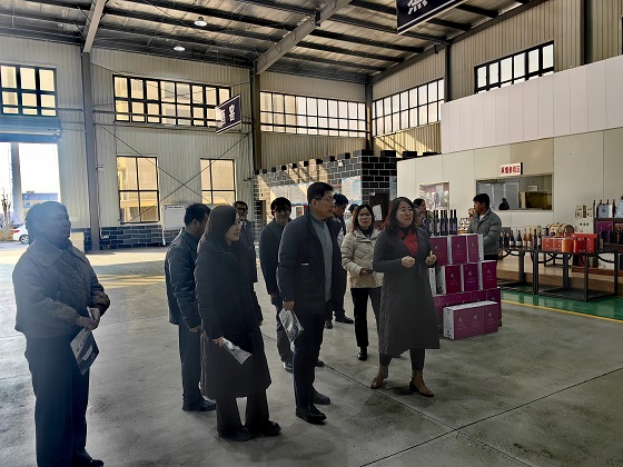 山东蚕桑体系专家赴夏津调研 共谋黄河故道古桑园多元化发展新路径 山东蚕桑体系专家赴夏津调研 共谋黄河故道古桑园多元化发展新路径