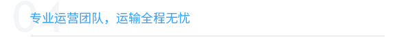 国内航空运输服务