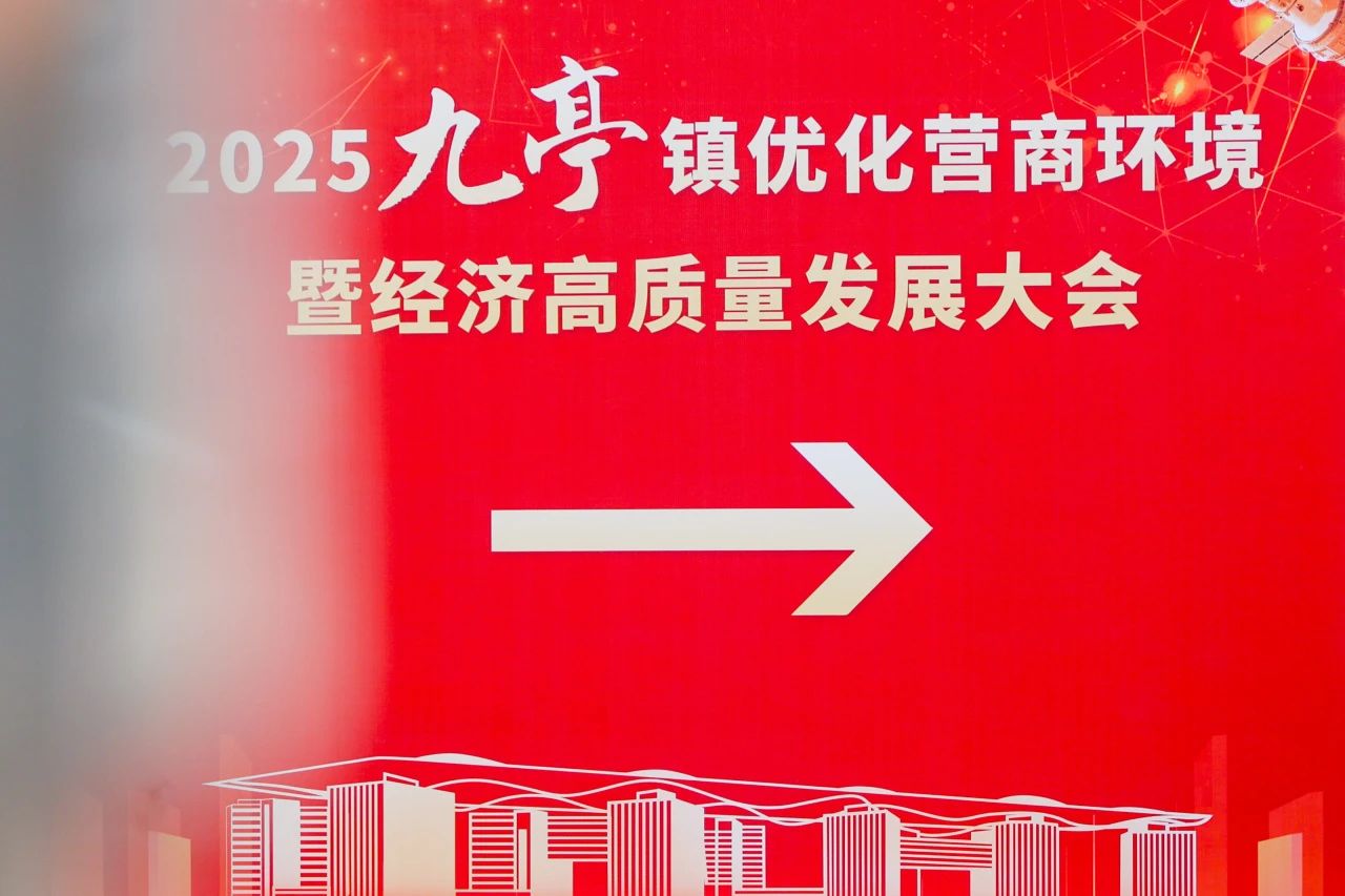2025九亭镇营商环境优化盛会：中来新能源荣膺“领军企业奖”，引领智慧能源未来