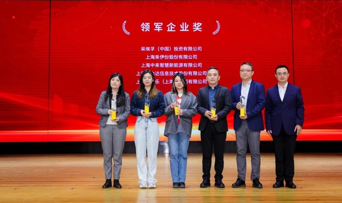 2025九亭镇营商环境优化盛会：中来新能源荣膺“领军企业奖”，引领智慧能源未来