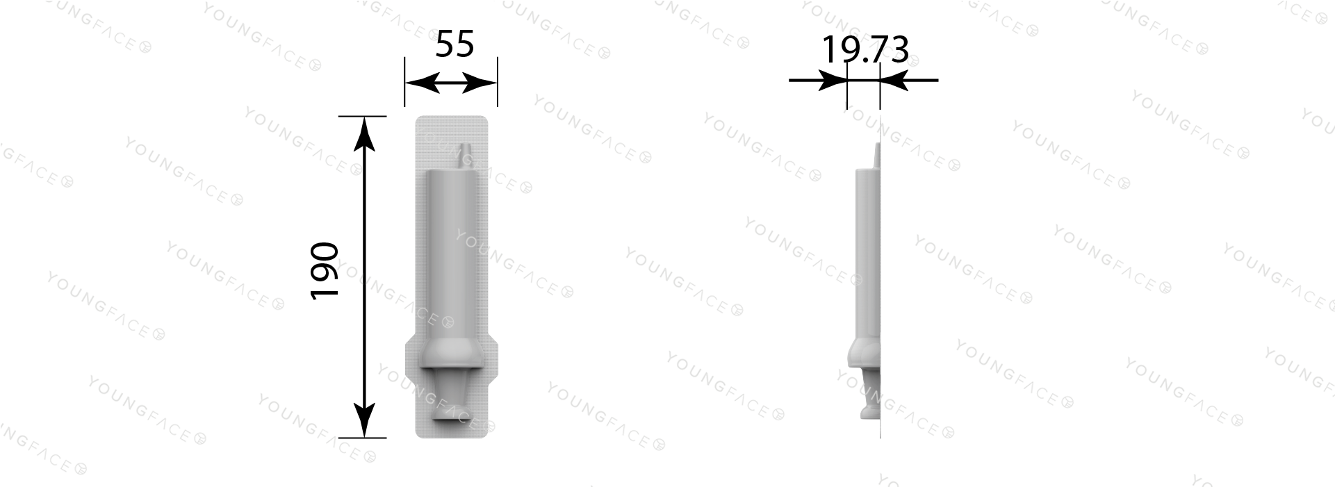 BLT010
