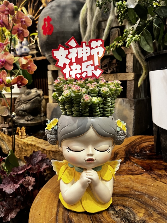 三八女神節(jié),軟萌多肉受歡迎 三八女神節(jié),軟萌多肉受歡迎