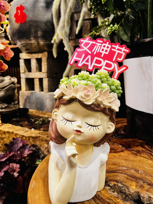 三八女神節(jié),軟萌多肉受歡迎 三八女神節(jié),軟萌多肉受歡迎