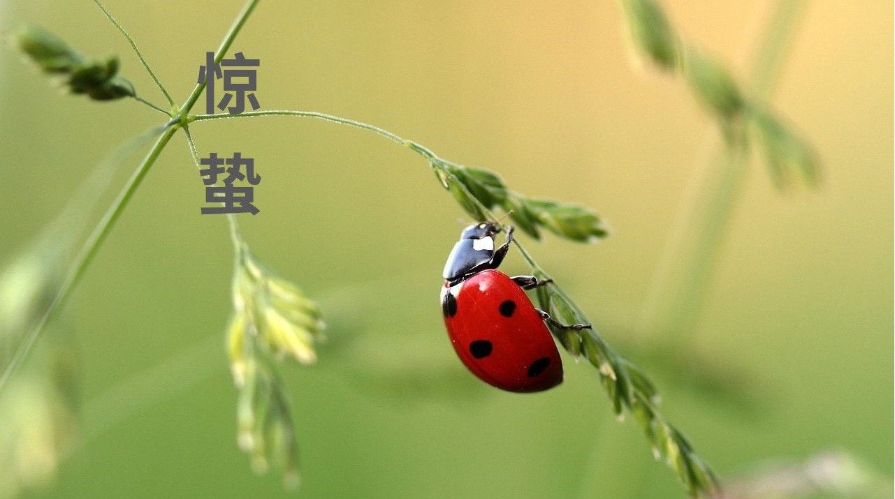 今日惊蛰 | 春雷乍响山河醒 蛰伏万物启新章