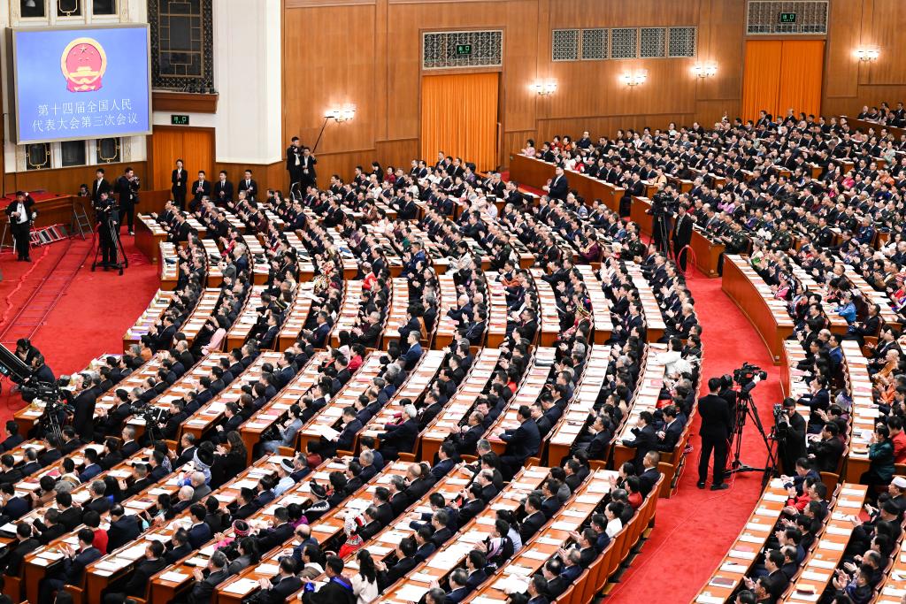 全国人大代表、盐津铺子董事长张学武出席十四届全国人大三次会议开幕会