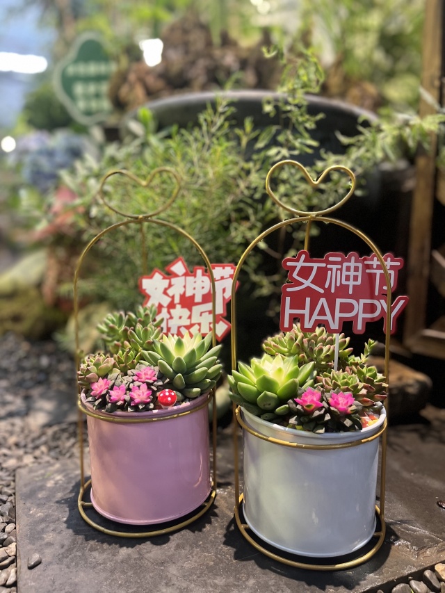 三八女神節(jié)丨春風(fēng)如你,熠熠芳華 三八女神節(jié)丨春風(fēng)如你,熠熠芳華