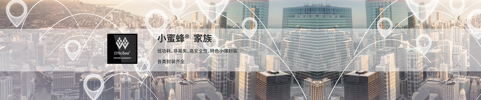 小蜜蜂家族