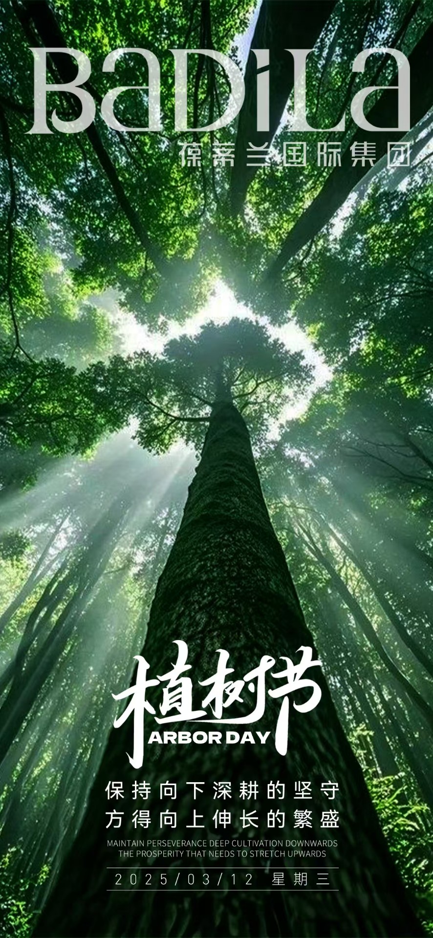 将春天，种进每个明天