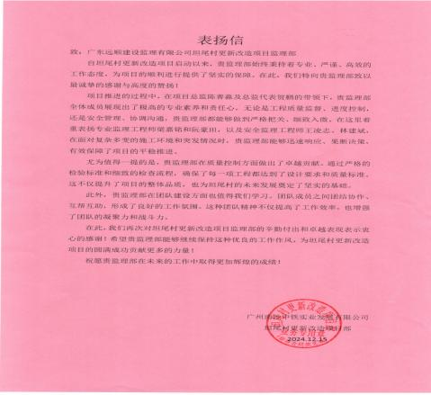 南沙坦尾项目：专业担当获赞誉，荣誉激励新征程