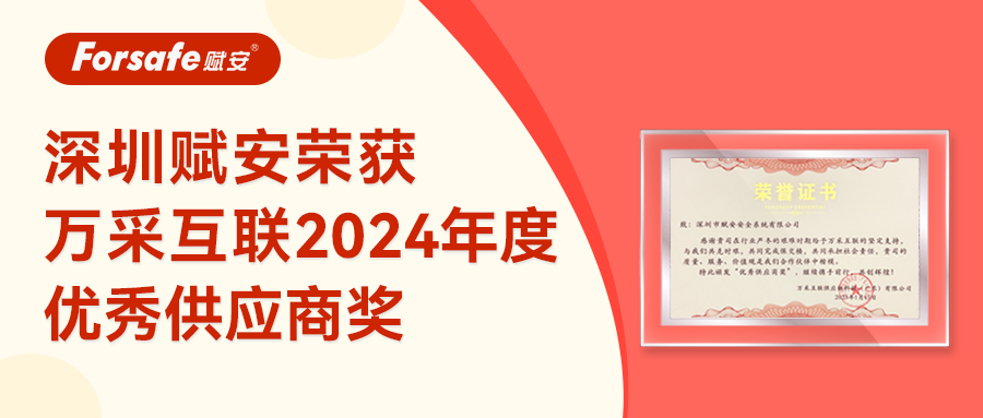共創(chuàng)共贏 | 深圳賦安榮獲萬(wàn)采互聯(lián)2024年度優(yōu)秀供應(yīng)商獎(jiǎng)