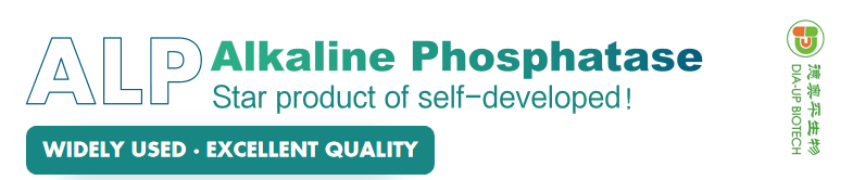 Alkaline Phosphatase
