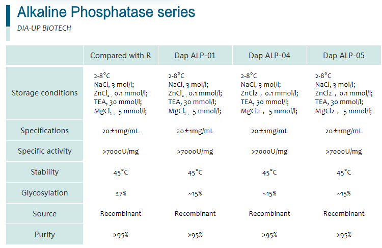 Alkaline Phosphatase Alkaline Phosphatase