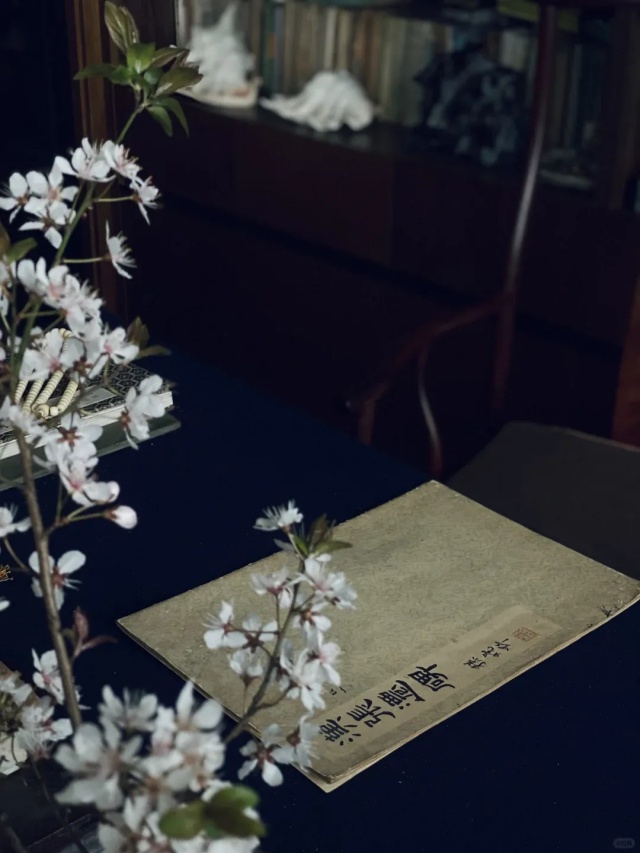 院子檐角青瓦藏春秋:中國人最理想的生活 院子檐角青瓦藏春秋:中國人最理想的生活
