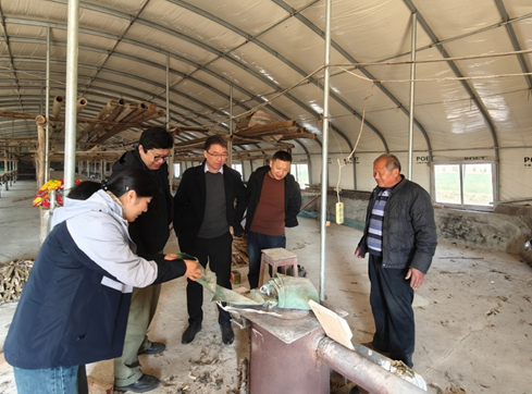 省蚕桑体系专家深入一线指导春季生产 省蚕桑体系专家深入一线指导春季生产