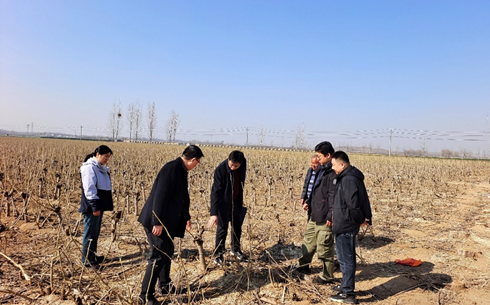 省蚕桑体系专家深入一线指导春季生产 省蚕桑体系专家深入一线指导春季生产