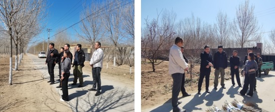 科技赋能,古桑新生 —山东省蚕桑产业技术体系专家指导古桑园种质资源圃规划建设 科技赋能,古桑新生 —山东省蚕桑产业技术体系专家指导古桑园种质资源圃规划建设