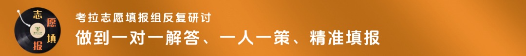 2024考拉当打之年｜火上热搜、统考校考夺冠、拿奖到手软的年度高光回忆
