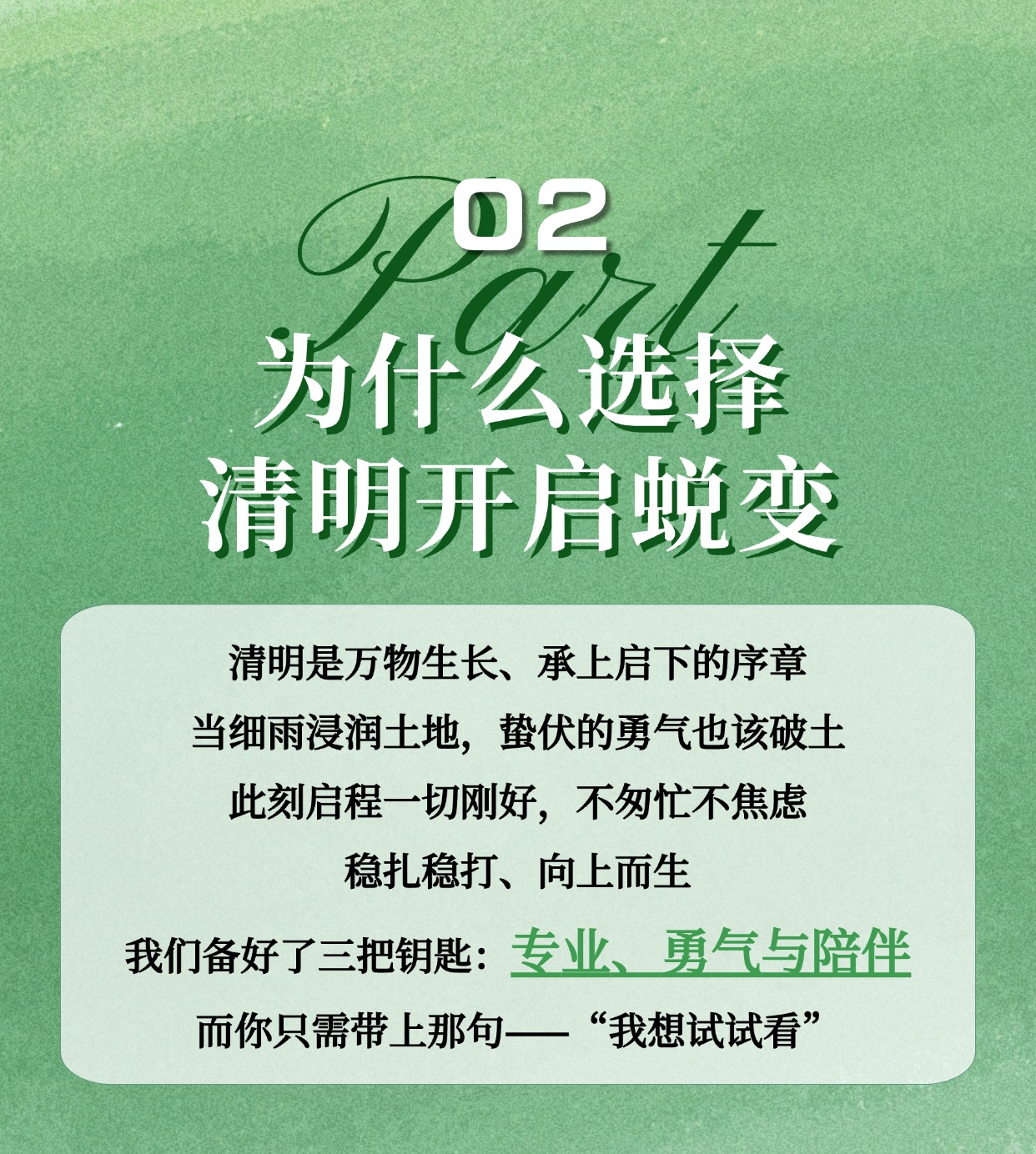 清明假期来考拉，为你按下「敢开口」的启动键