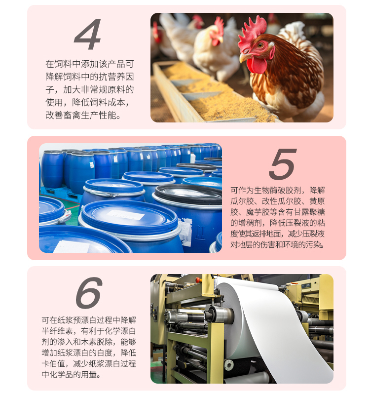 夏盛液体食品级半纤维素酶5万酶活(降解半纤维素/消除抗营养性)FDY-2263