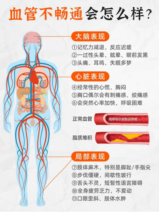血流健康管理