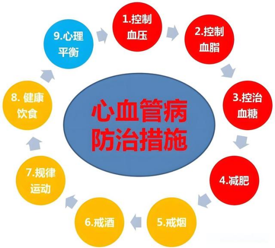 血流健康管理 血流健康管理