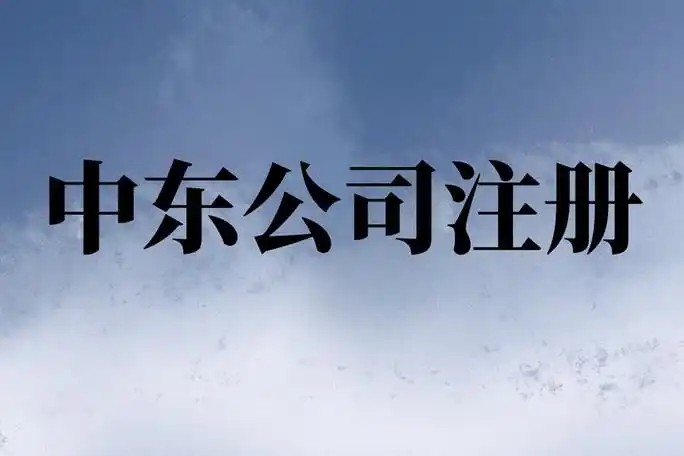 中东公司注册流程