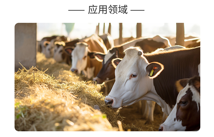 夏盛固体饲料肉牛羊专用复合酶(酶力高/浓缩型)SFG-0991