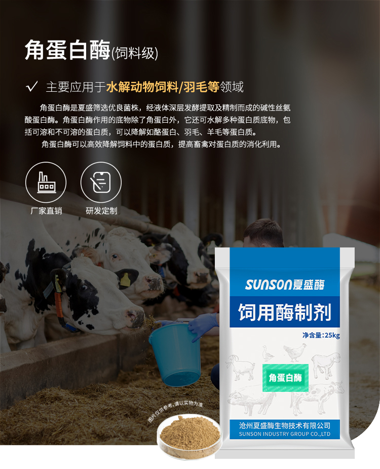 夏盛固体饲料级角蛋白酶5万酶活(降解饲料中的蛋白质)SDG-2437