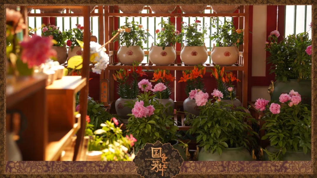 宋代插花藝術讓你大開“花”界 宋代插花藝術讓你大開“花”界