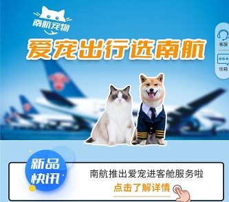 南航推出愛寵進客艙服務(wù)啦